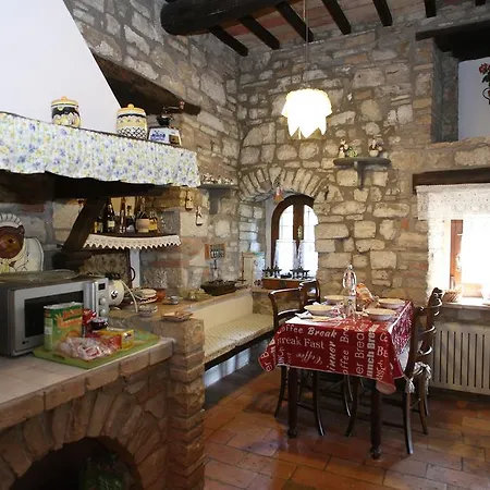 Del Sogno Vasciano Nuovo