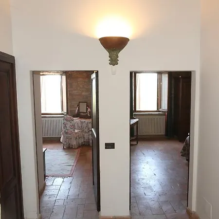 Del Sogno Vasciano Nuovo