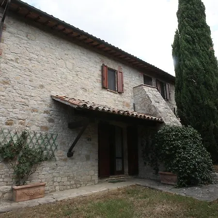 Del Sogno Vasciano Nuovo